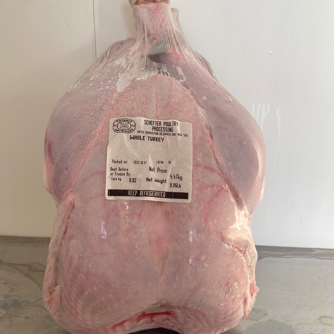 Fresh Turkey