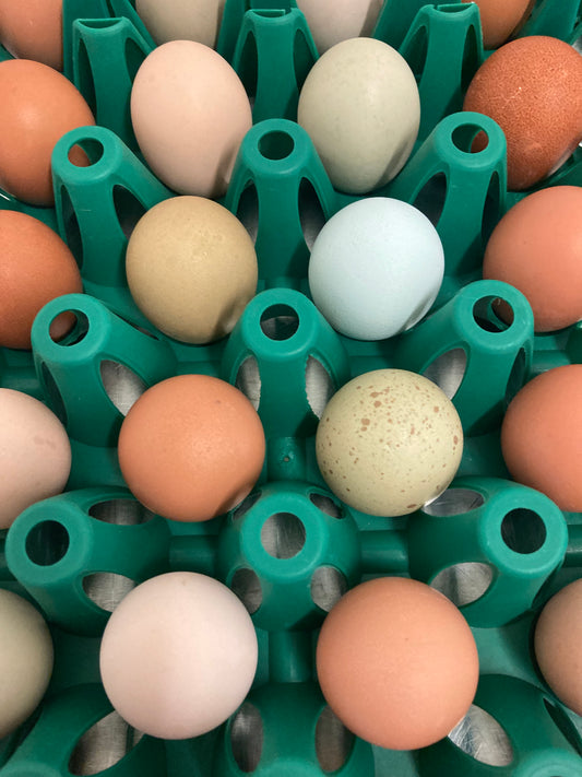 Egg CSA